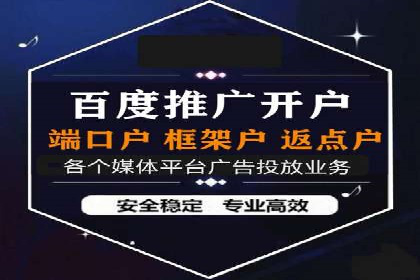 某某SEM服务公司成功案例：从数据出发的营销策略